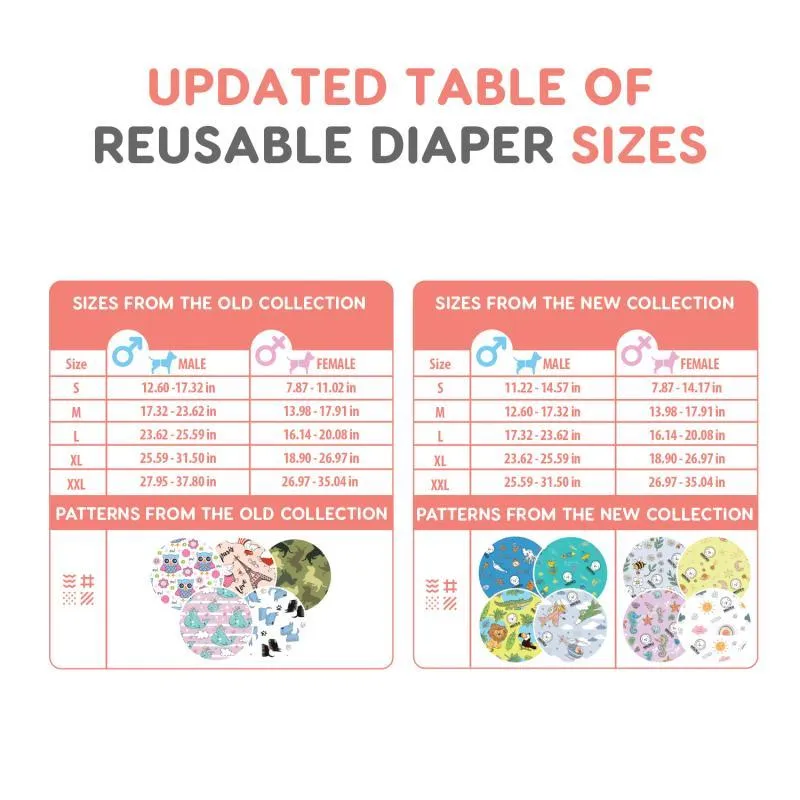 Misoko reusable diapers set for male dogs, Voyage, 3 pcs.