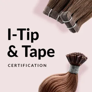 Online Certification Program