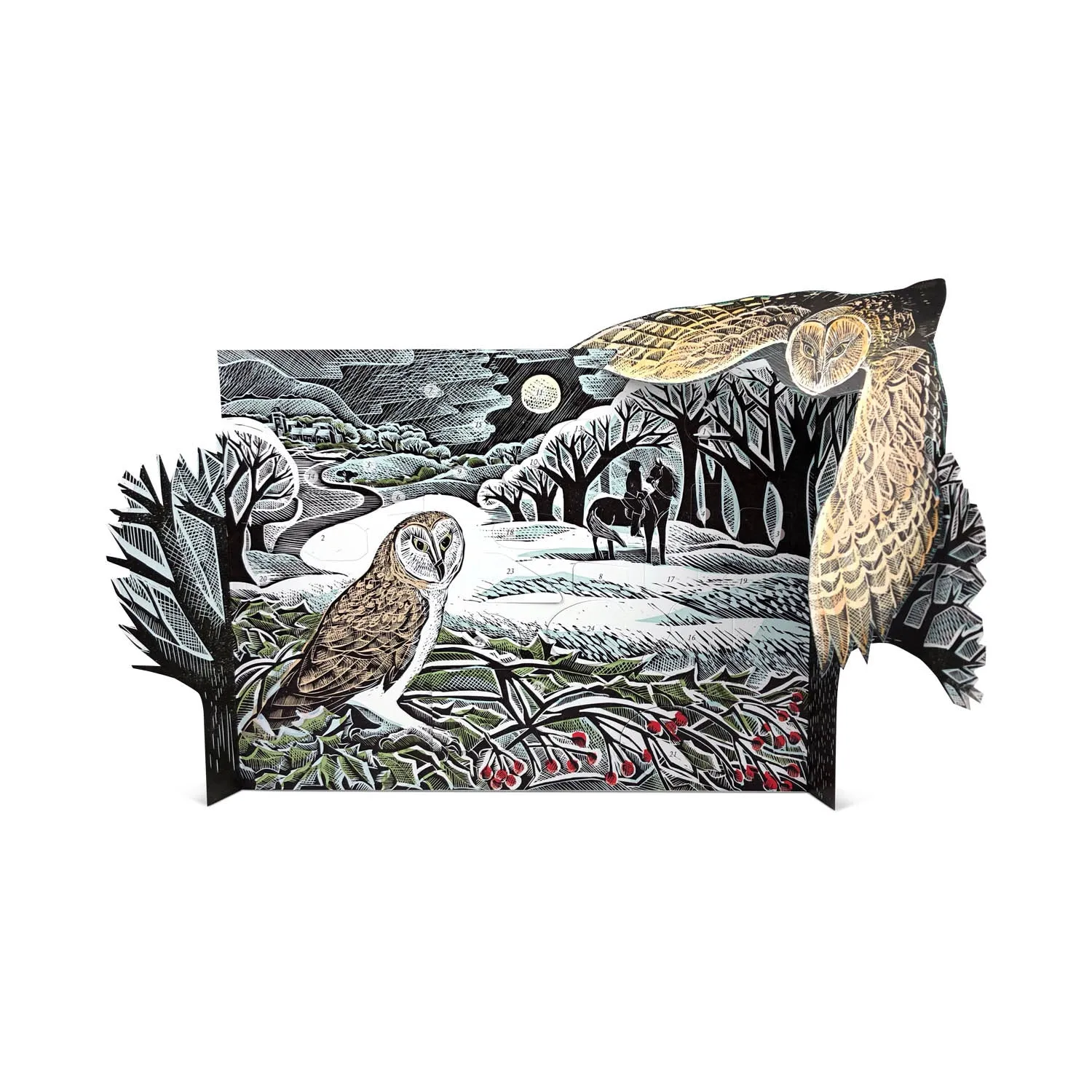 Owl In Winter Advent Calendar