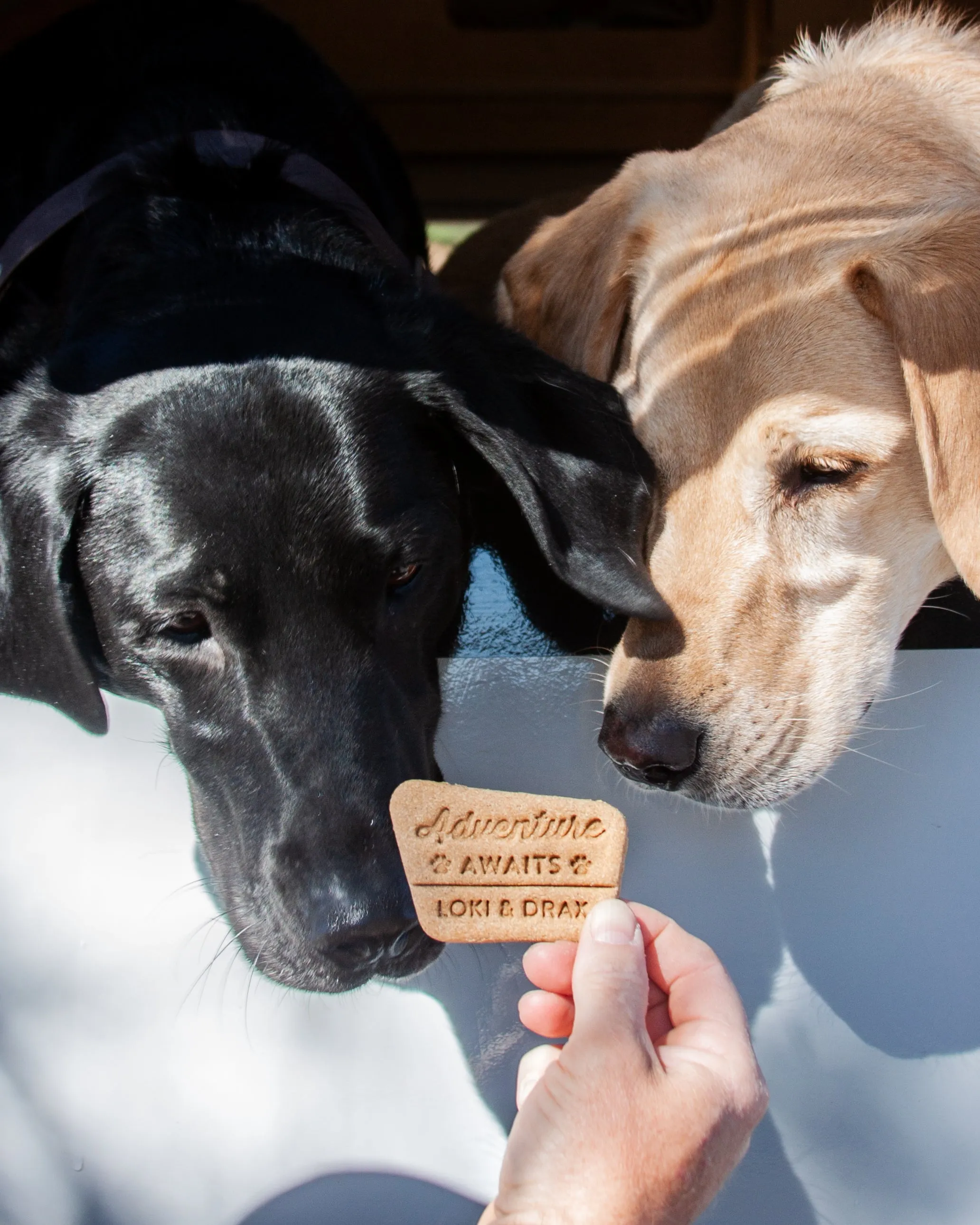 Park Sign "Adventure Awaits" Dog Cookie Cutter (Personalized)
