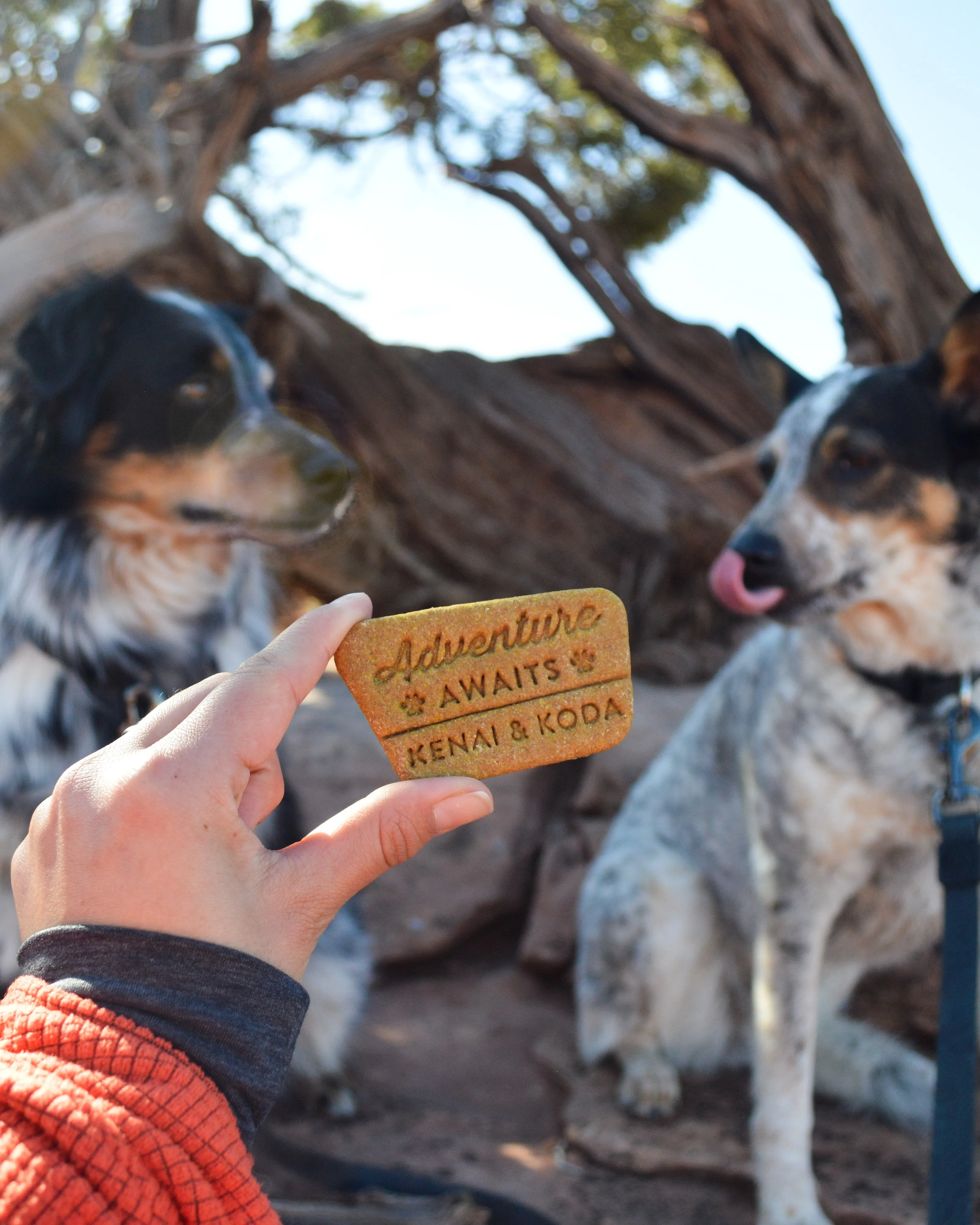 Park Sign "Adventure Awaits" Dog Cookie Cutter (Personalized)