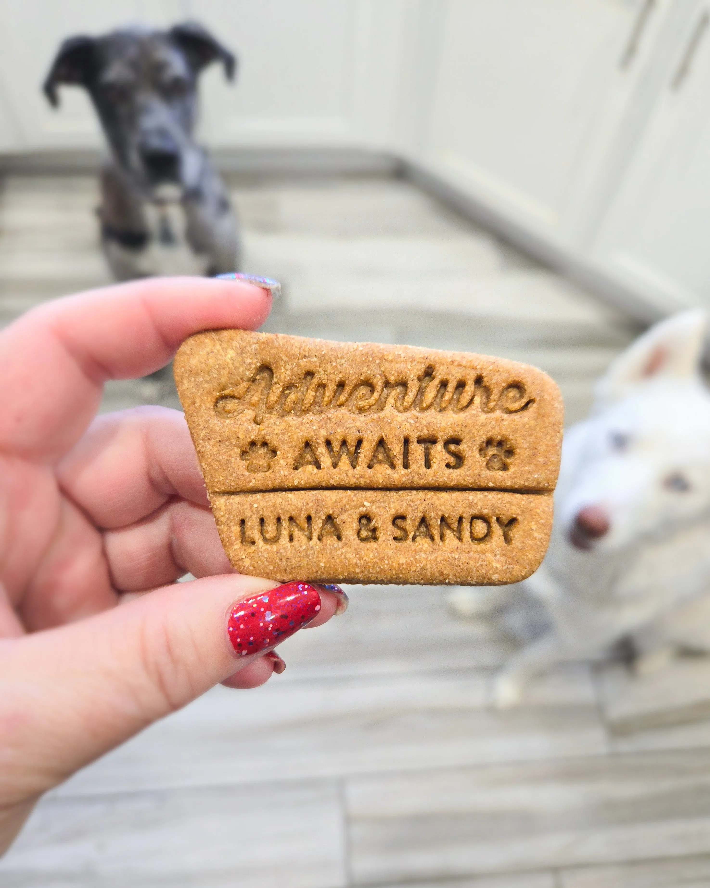 Park Sign "Adventure Awaits" Dog Cookie Cutter (Personalized)