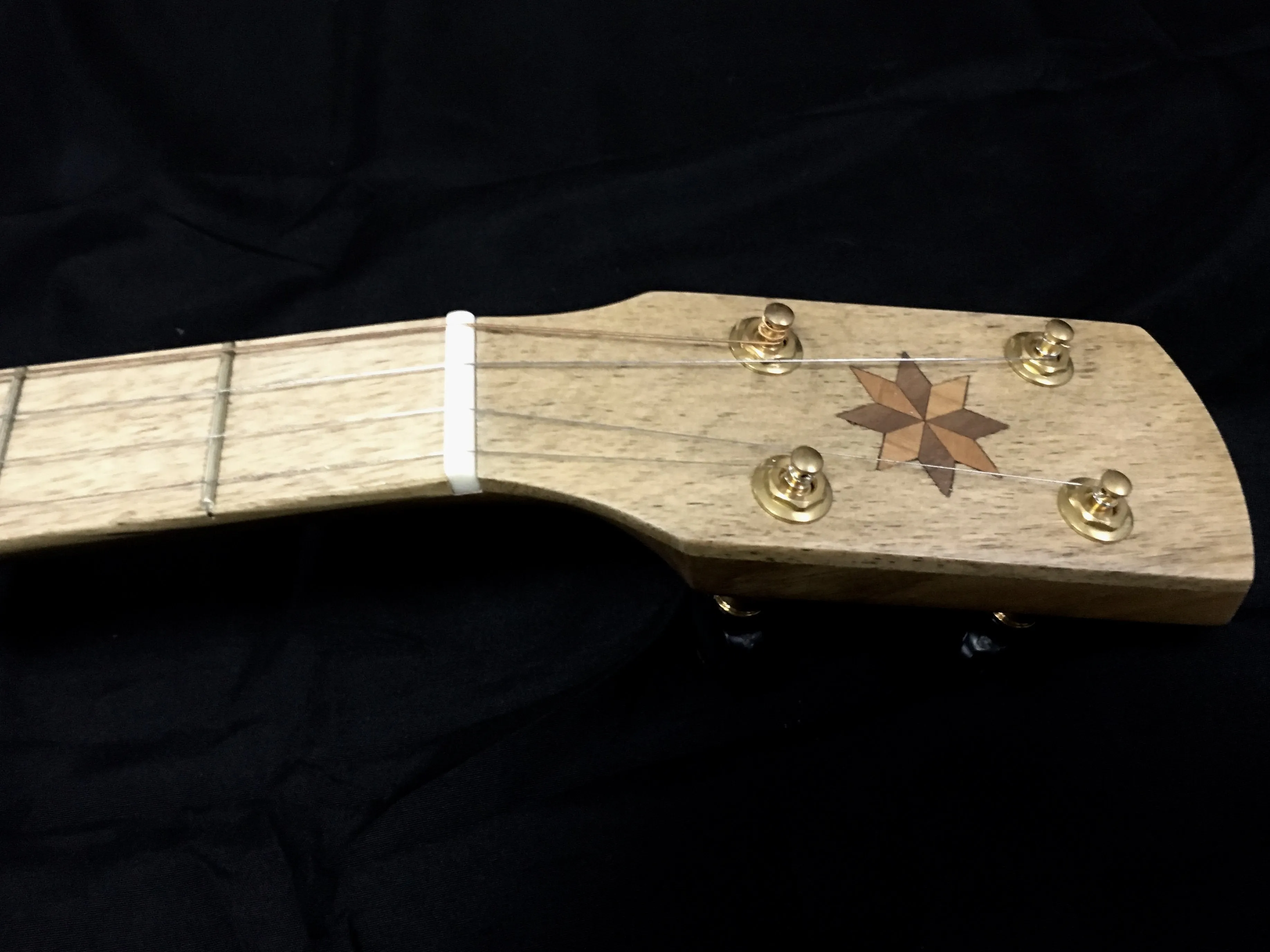 Pisgah Walnut Possum 5-String Banjo