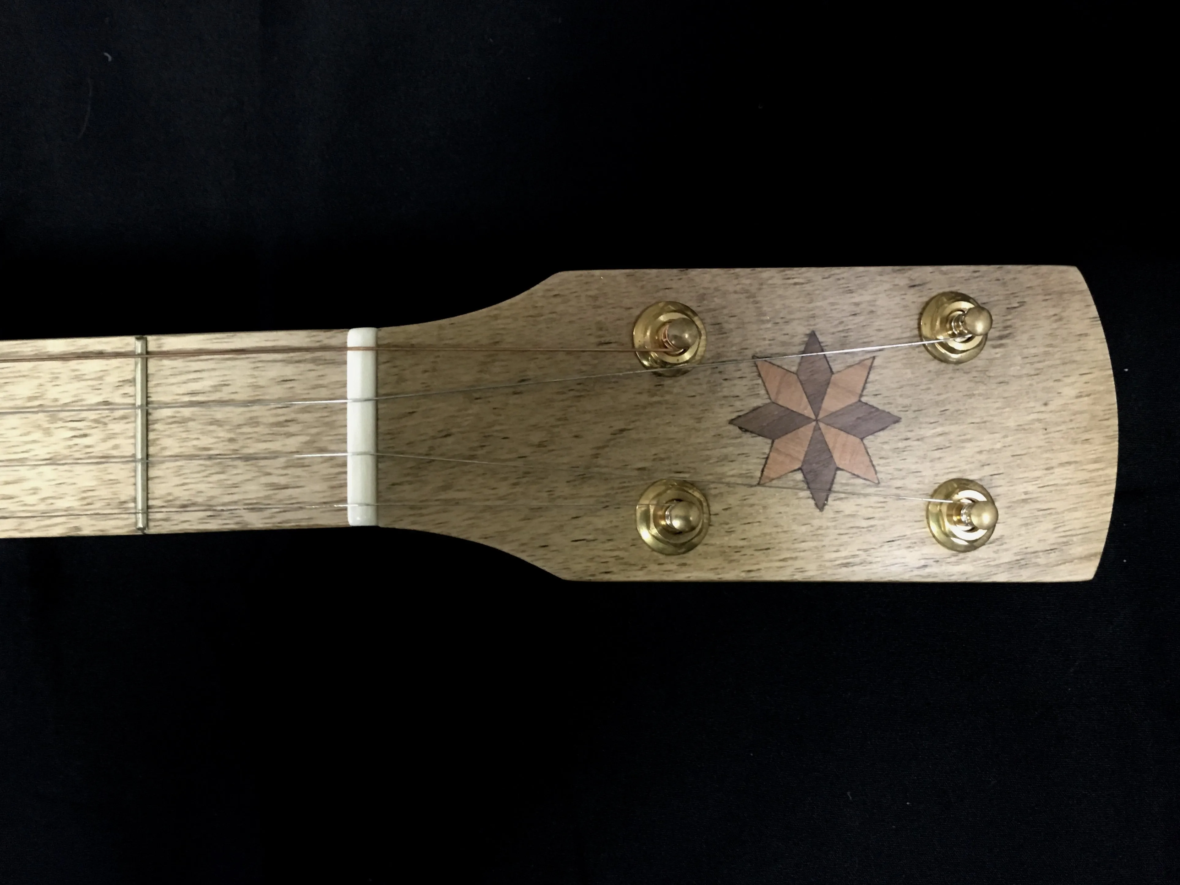 Pisgah Walnut Possum 5-String Banjo