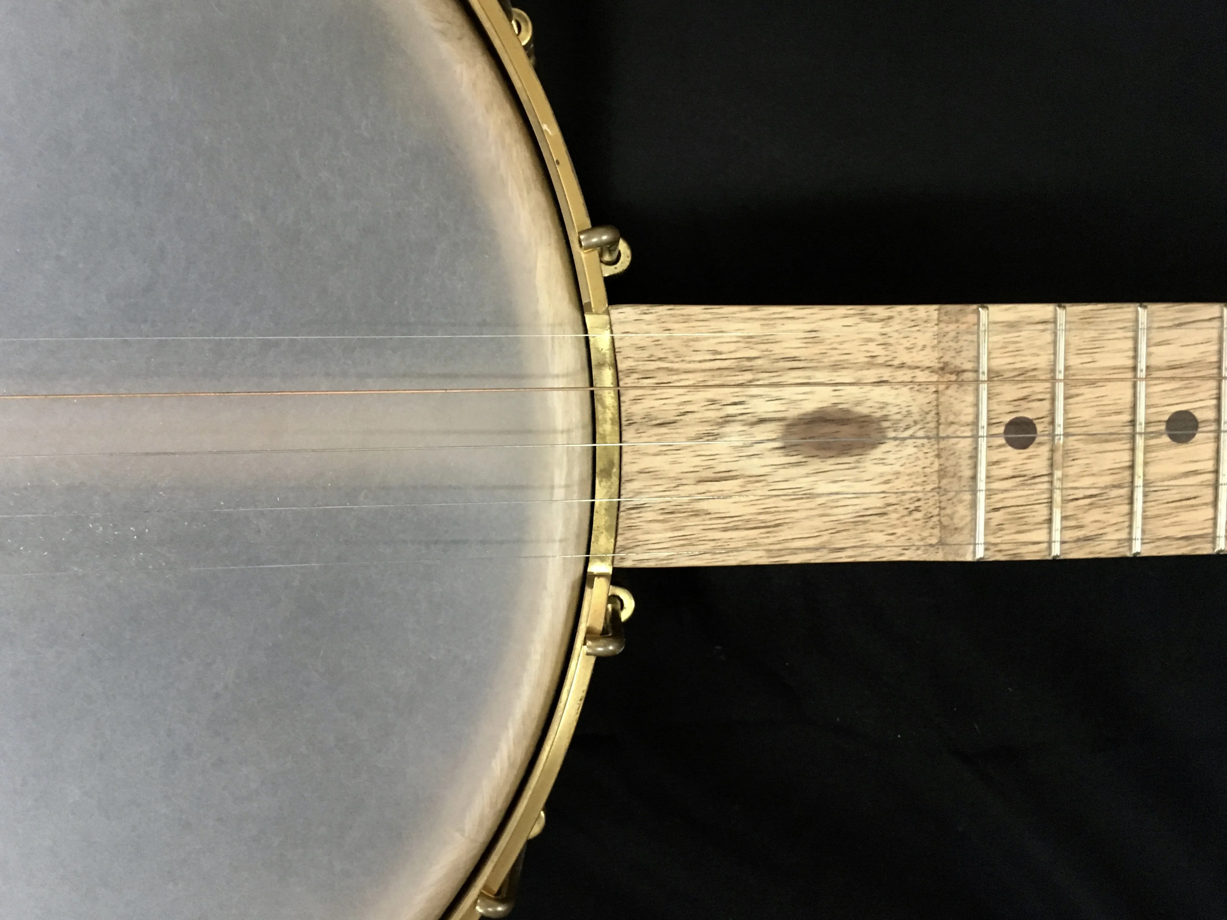 Pisgah Walnut Possum 5-String Banjo