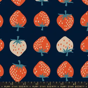 *PRE-ORDER* Strawberry, Strawberry Canvas in Navy - CANVAS