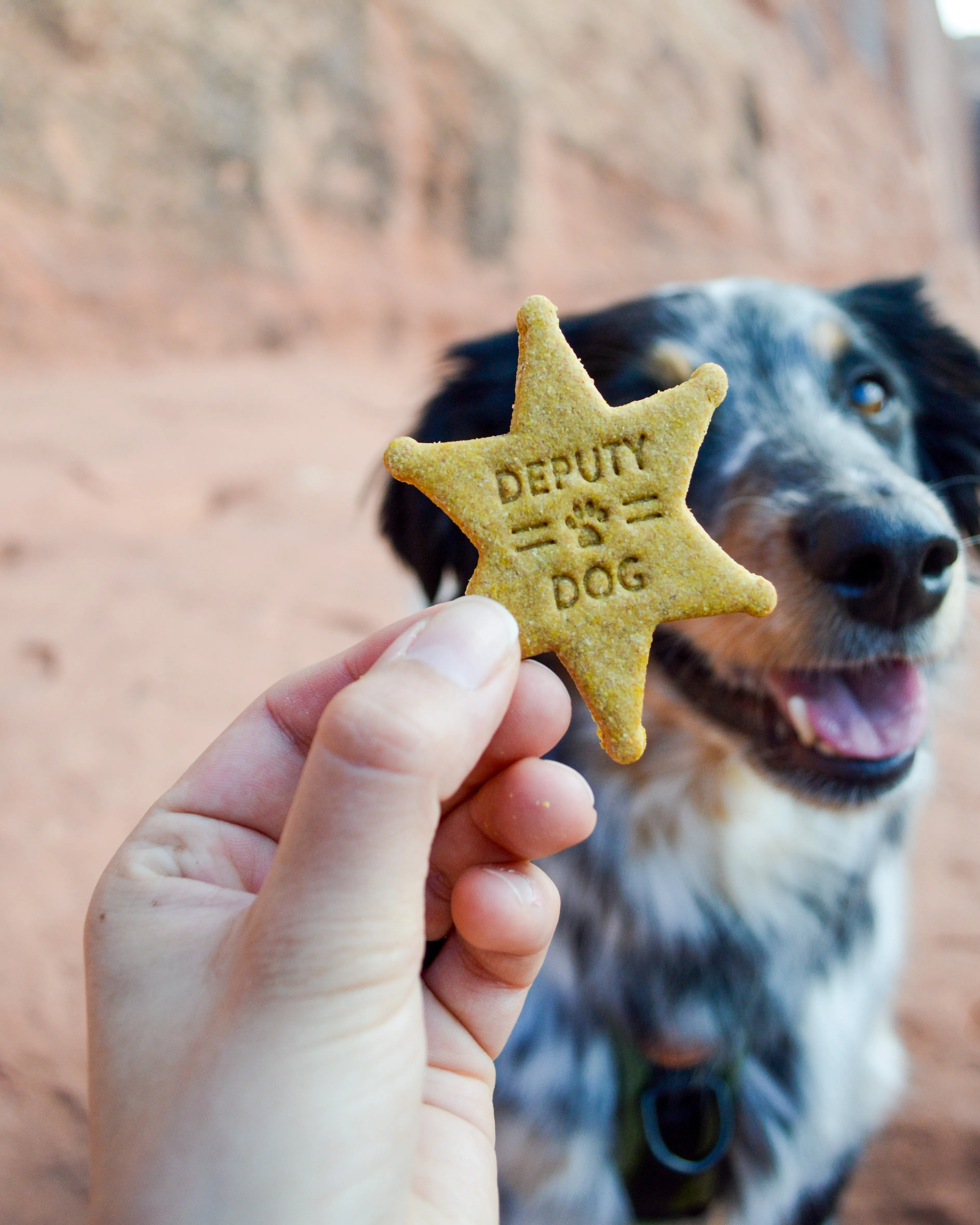 "Deputy Dog" Sheriff Badge Shaped Cookie Cutter