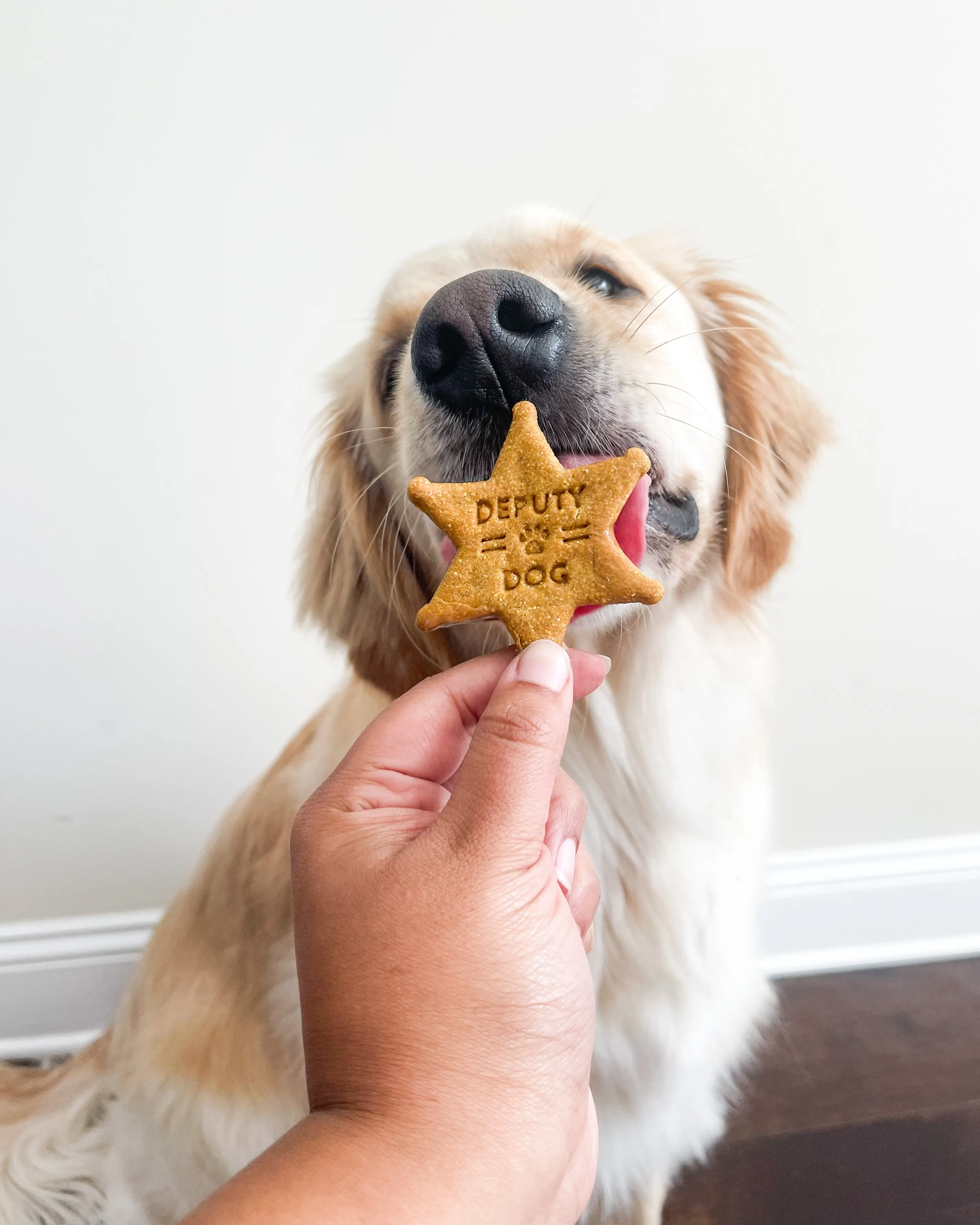 "Deputy Dog" Sheriff Badge Shaped Cookie Cutter