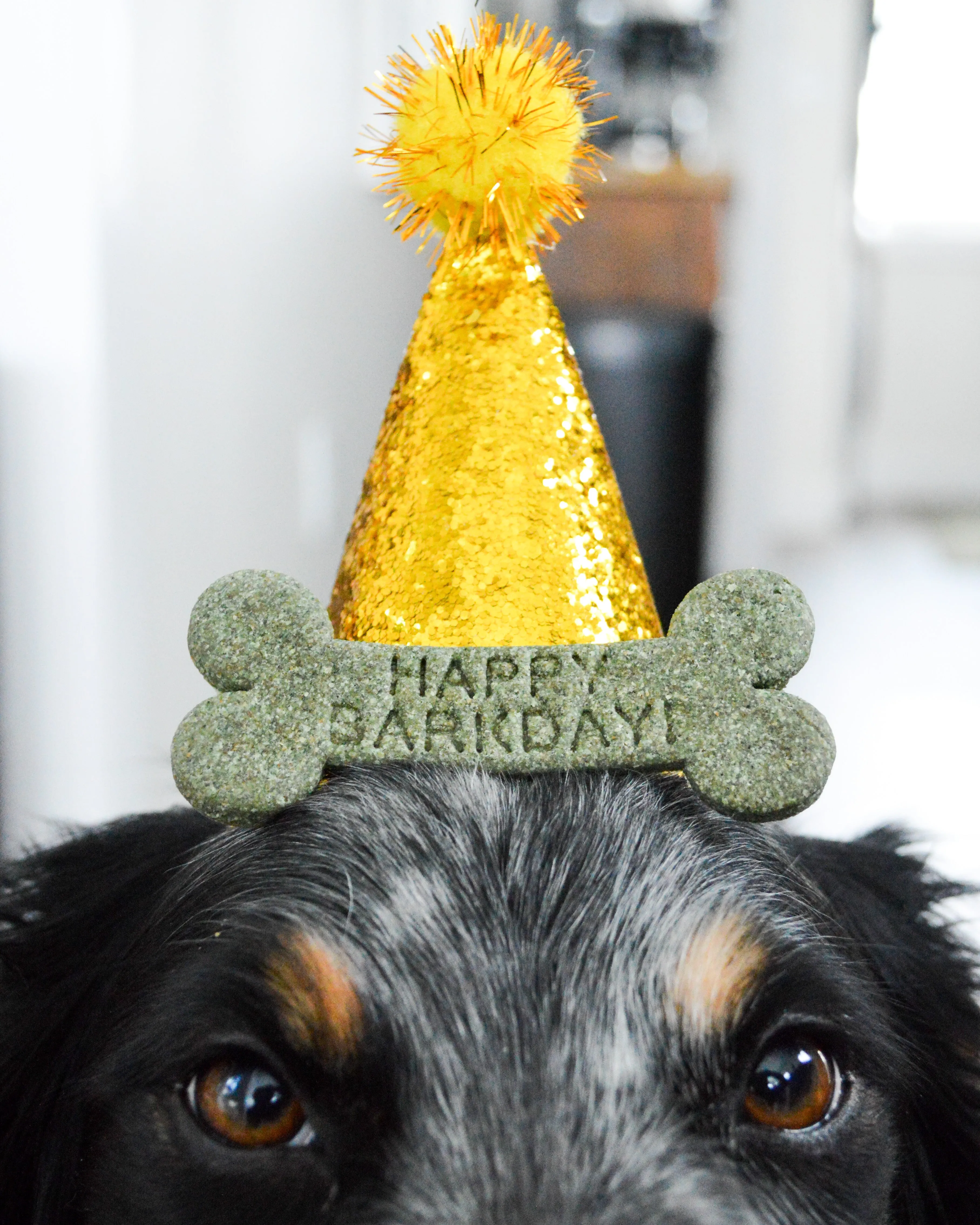 "Happy Barkday" Bone Cookie Cutter