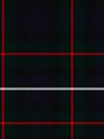 Robertson Hunting Modern Tartan Tam