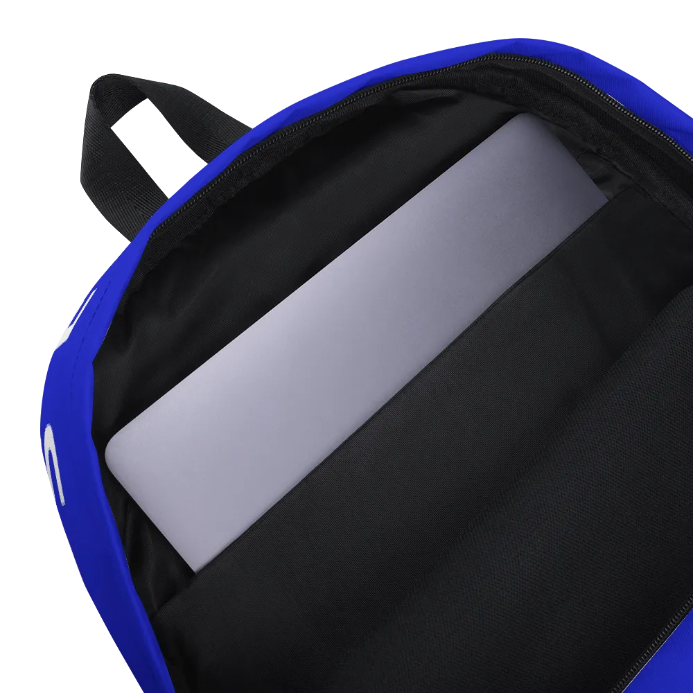 Secure The Bag Backpack (Blue)