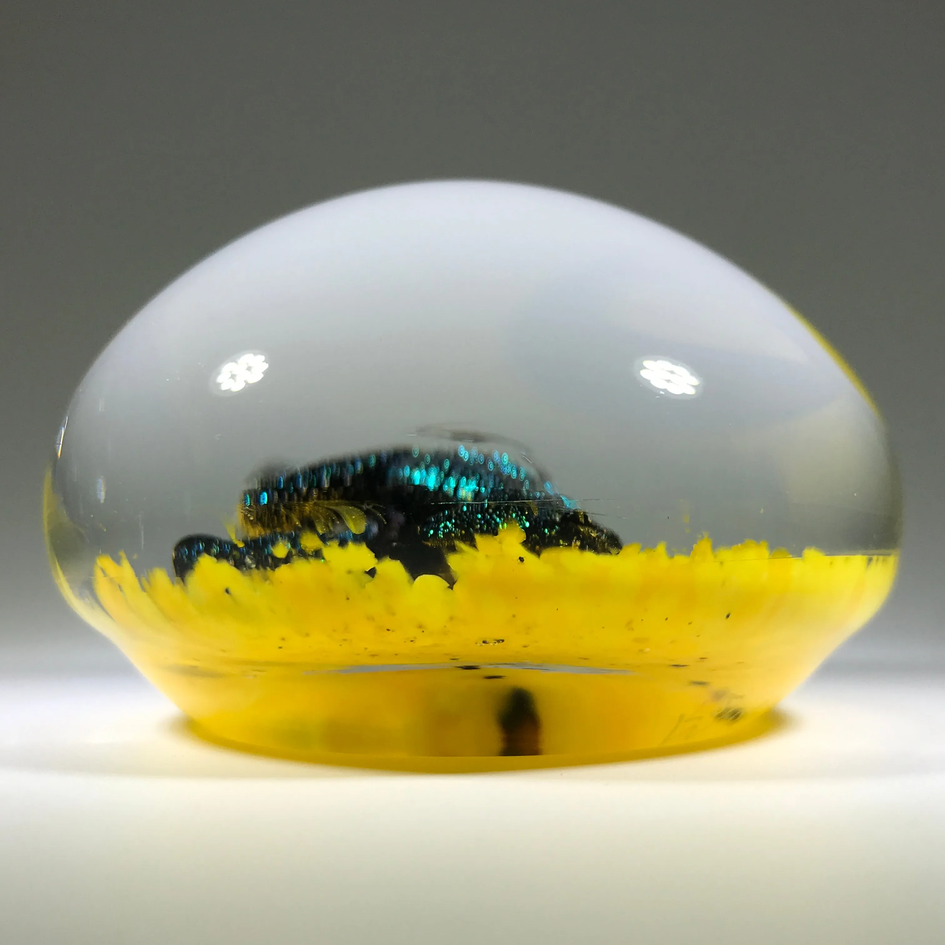 Signed Lewis Wilson Art Glass Paperweight Lampwork Dichroic Horse on Yellow Ground