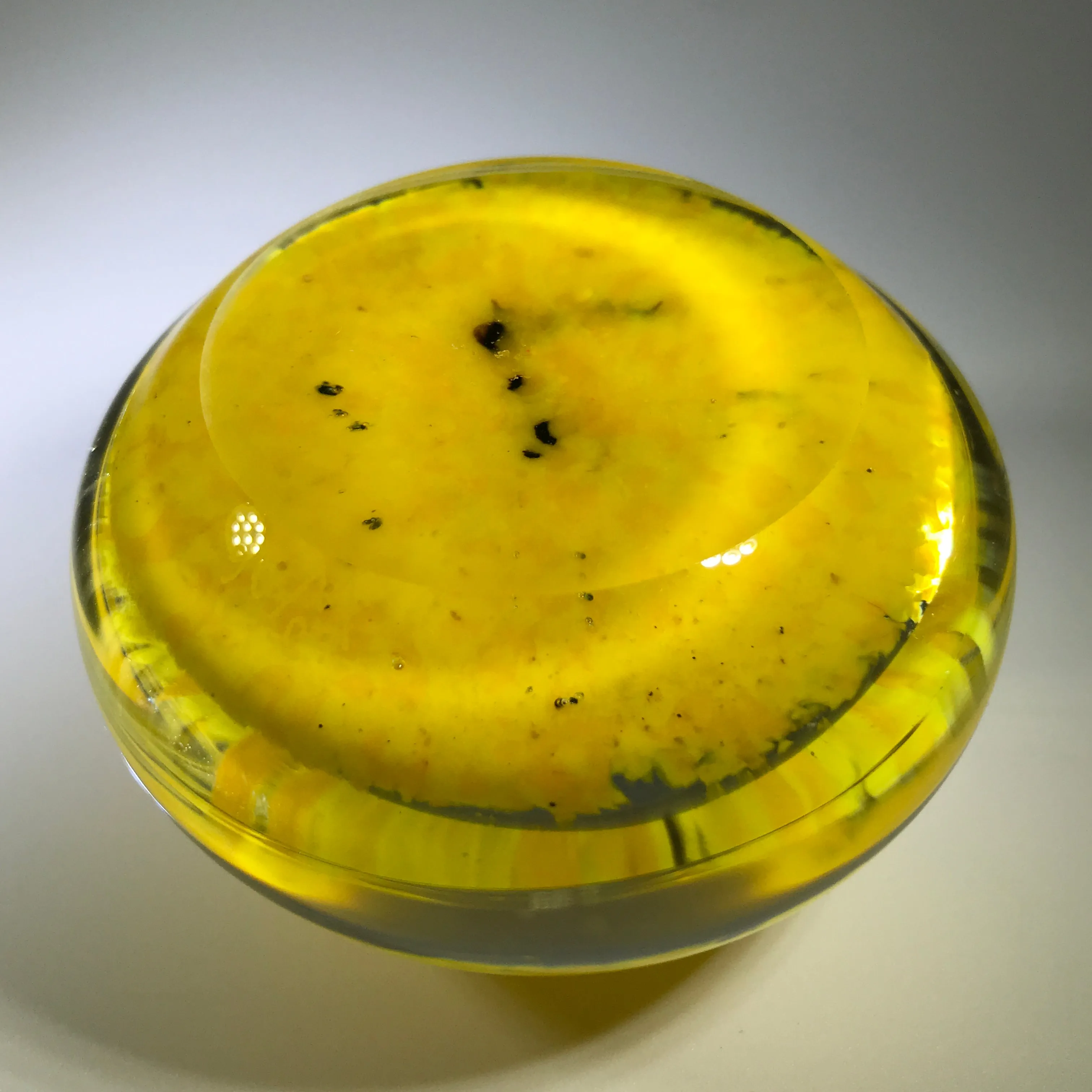 Signed Lewis Wilson Art Glass Paperweight Lampwork Dichroic Horse on Yellow Ground