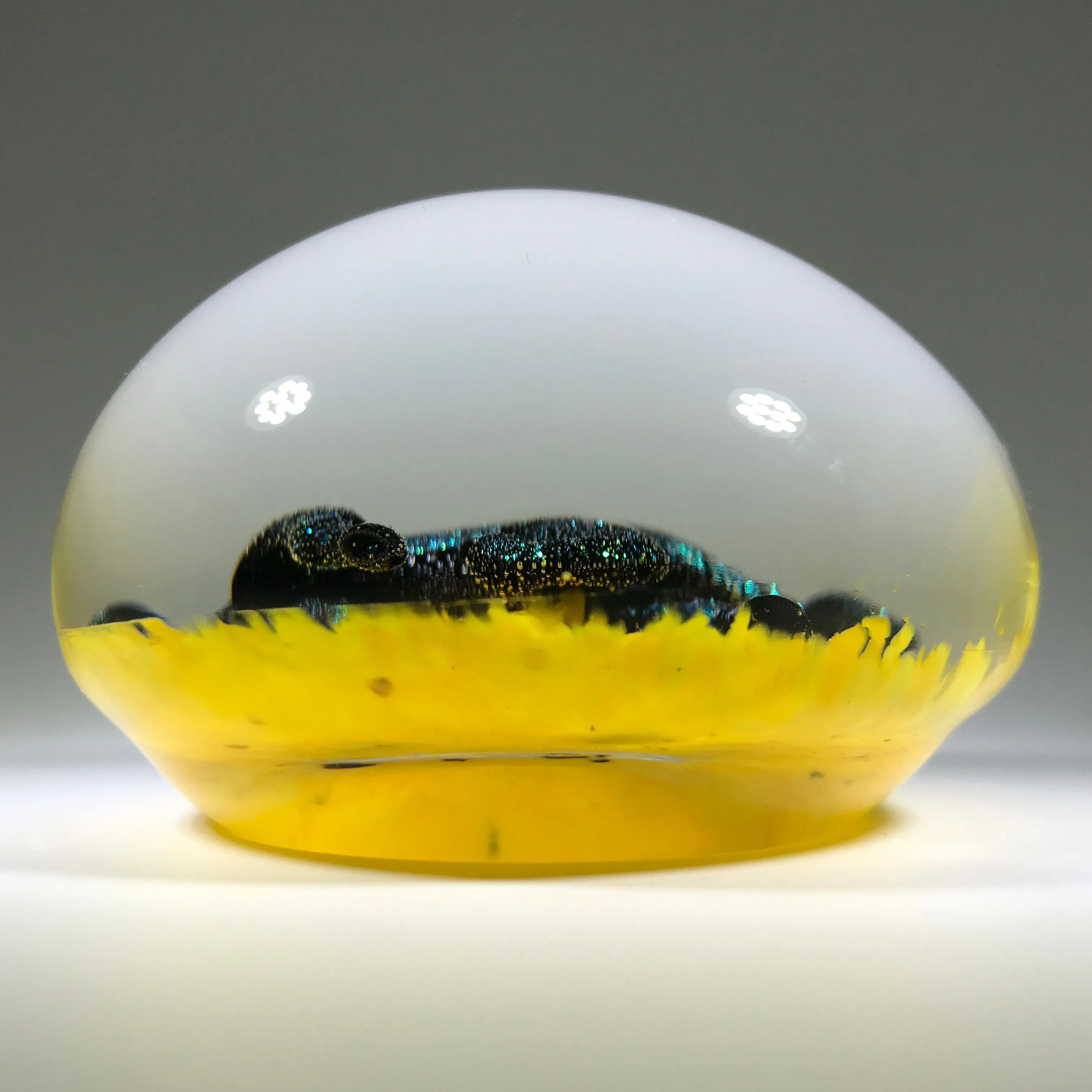 Signed Lewis Wilson Art Glass Paperweight Lampwork Dichroic Horse on Yellow Ground