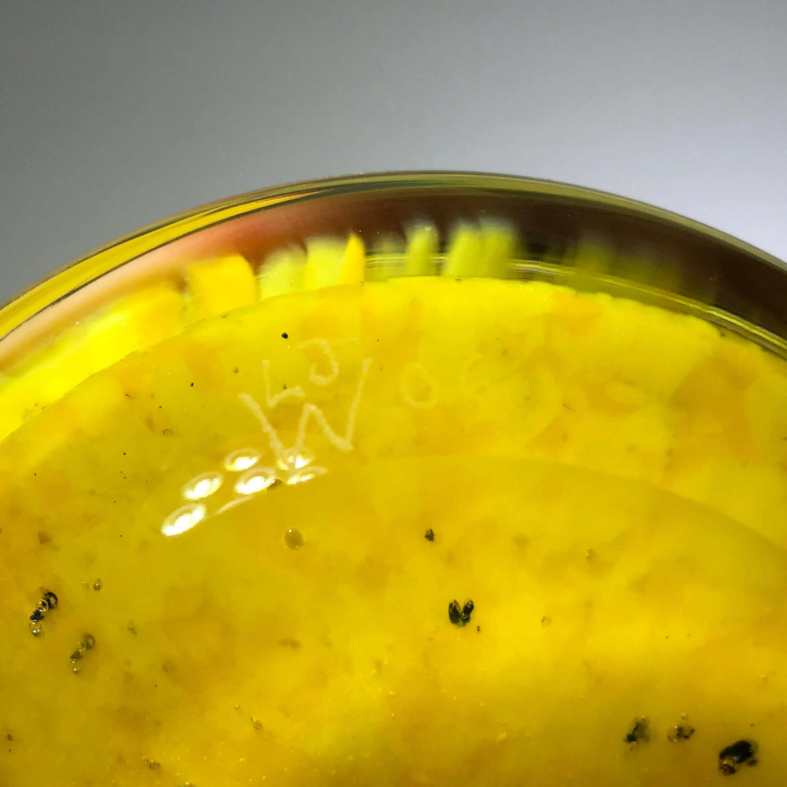 Signed Lewis Wilson Art Glass Paperweight Lampwork Dichroic Horse on Yellow Ground