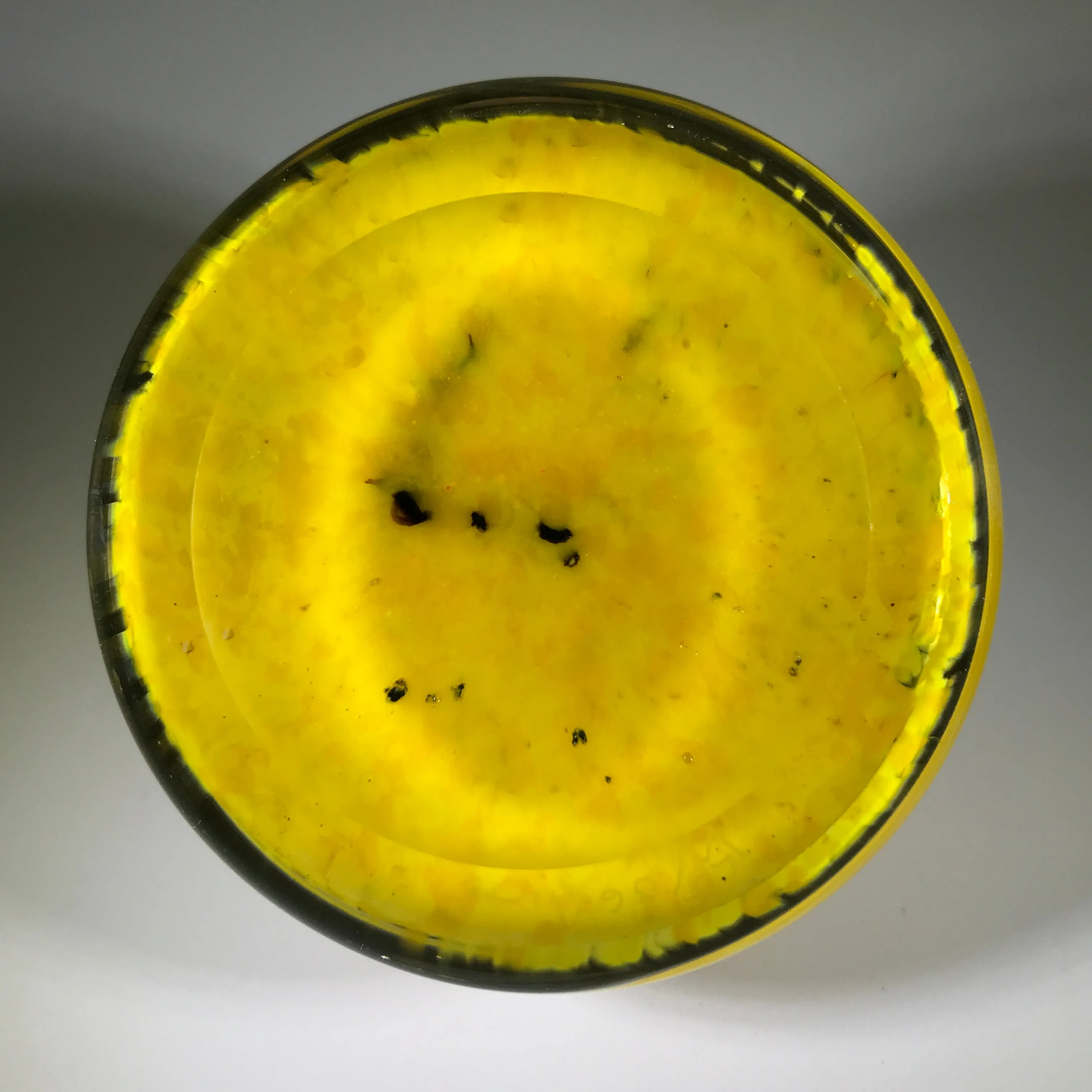 Signed Lewis Wilson Art Glass Paperweight Lampwork Dichroic Horse on Yellow Ground