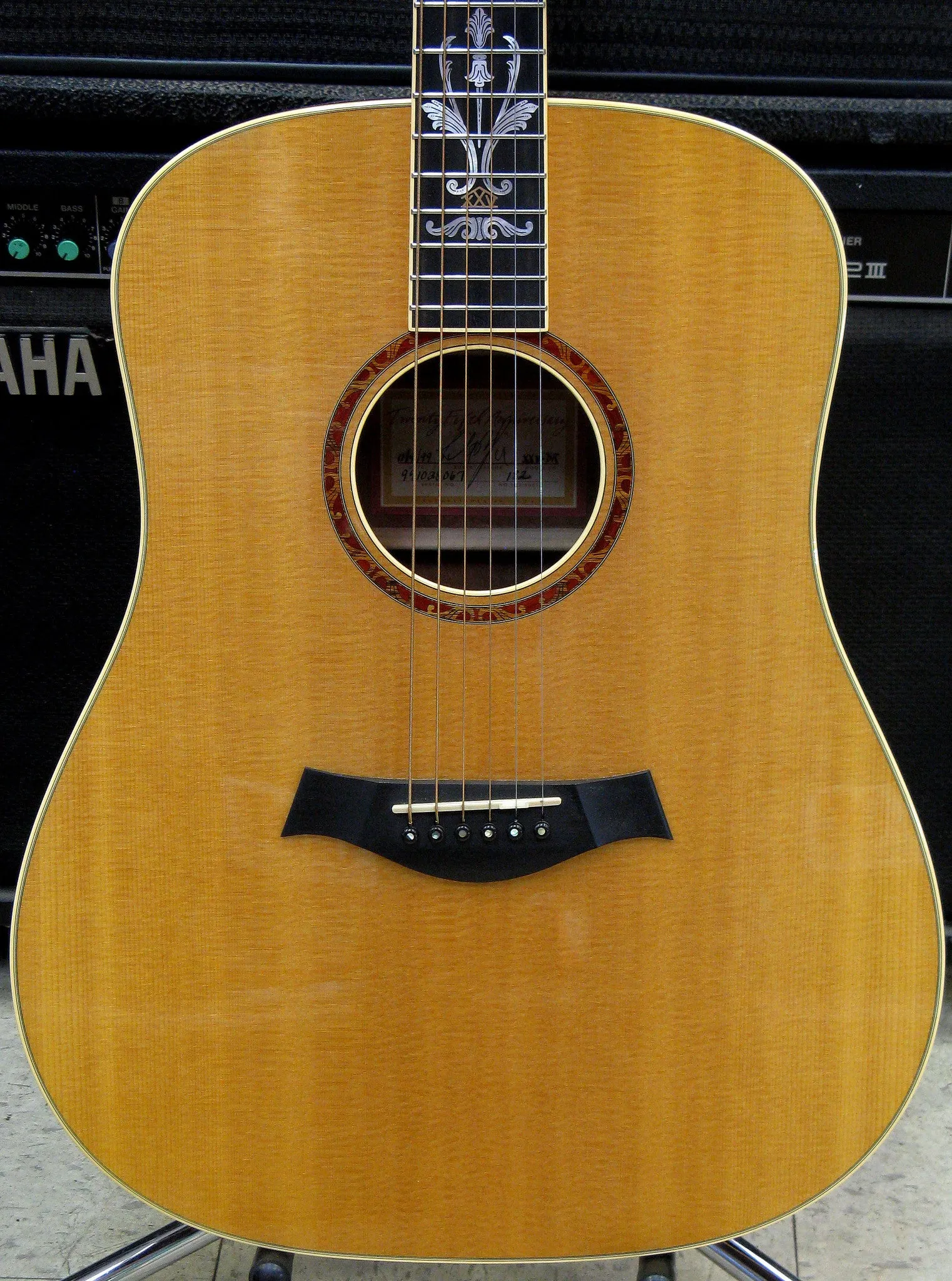 Taylor XXV-DR 25th Anniversary Acoustic Guitar