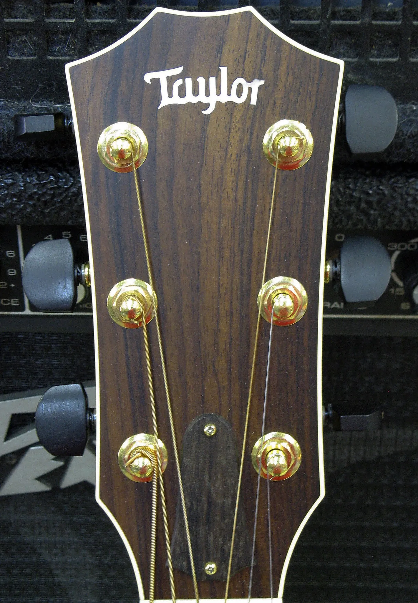 Taylor XXV-DR 25th Anniversary Acoustic Guitar