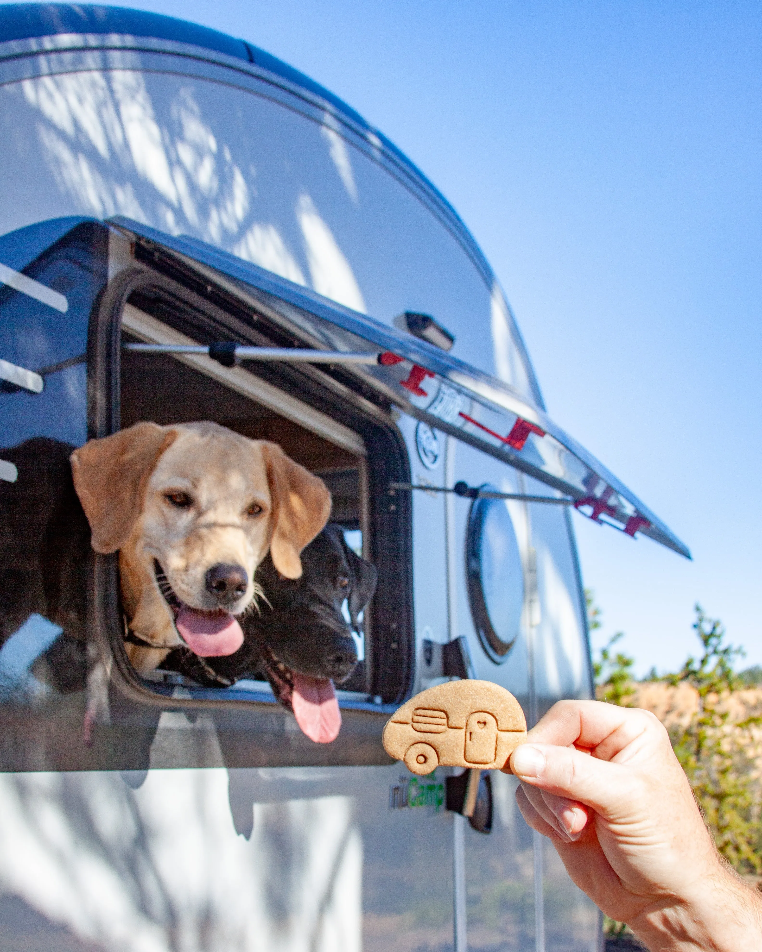 Teardrop Camper Shaped Cookie Cutter