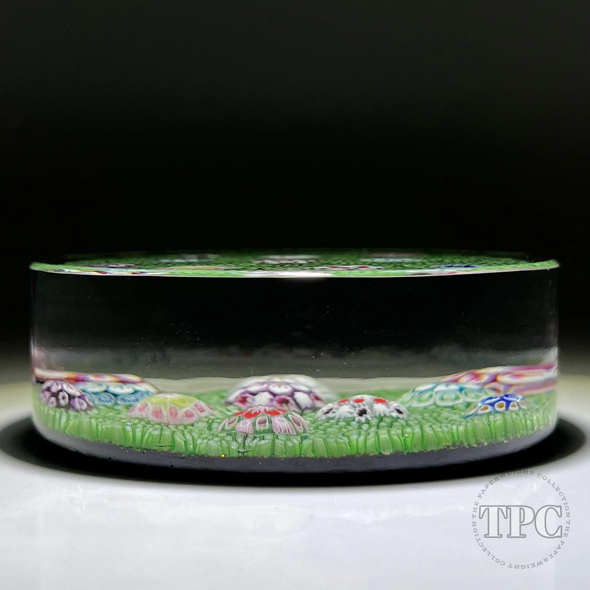 Tomasz Gondek 2022 Glass Art Paperweight Plaque Scattered Complex Millefiori on Green Coral Ground