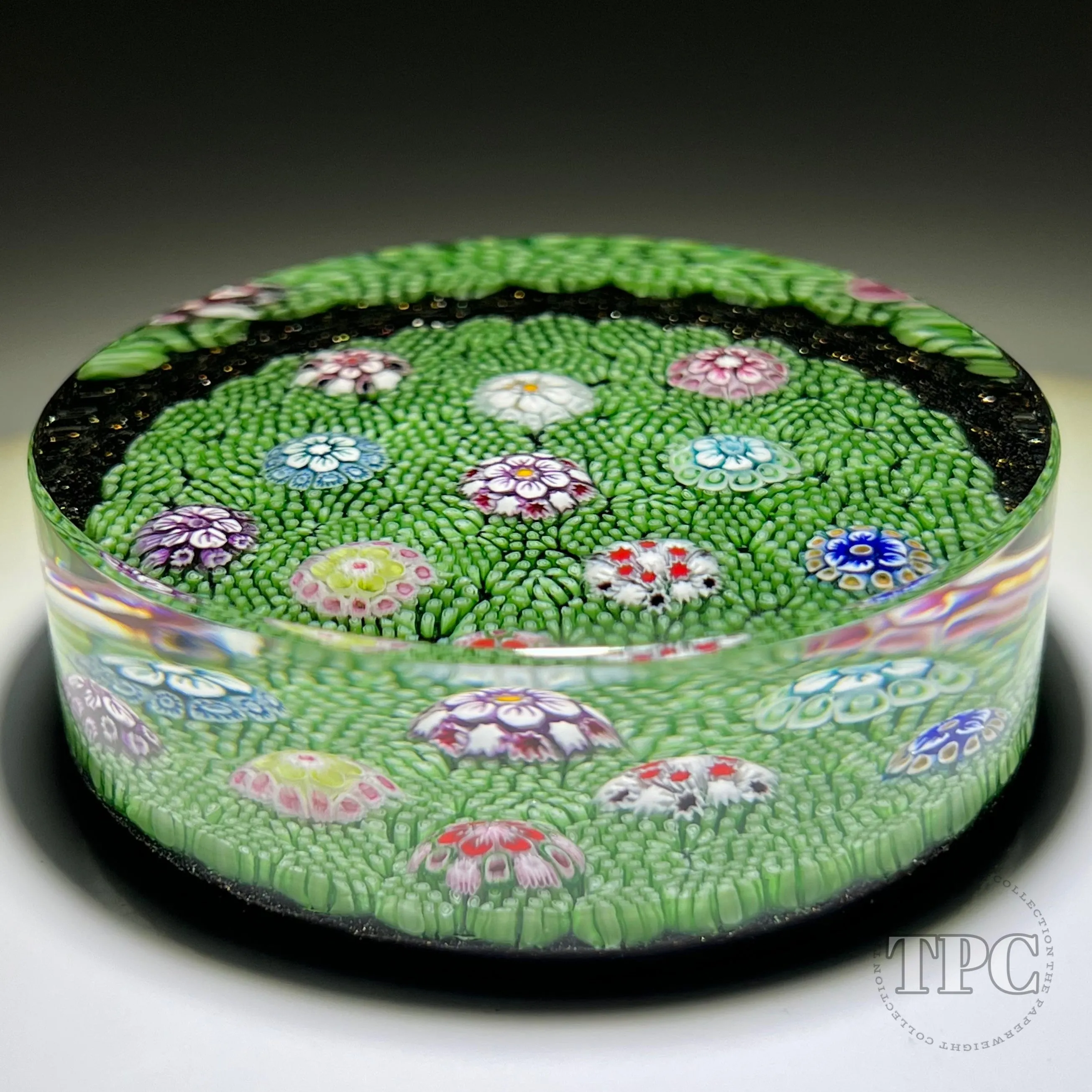 Tomasz Gondek 2022 Glass Art Paperweight Plaque Scattered Complex Millefiori on Green Coral Ground