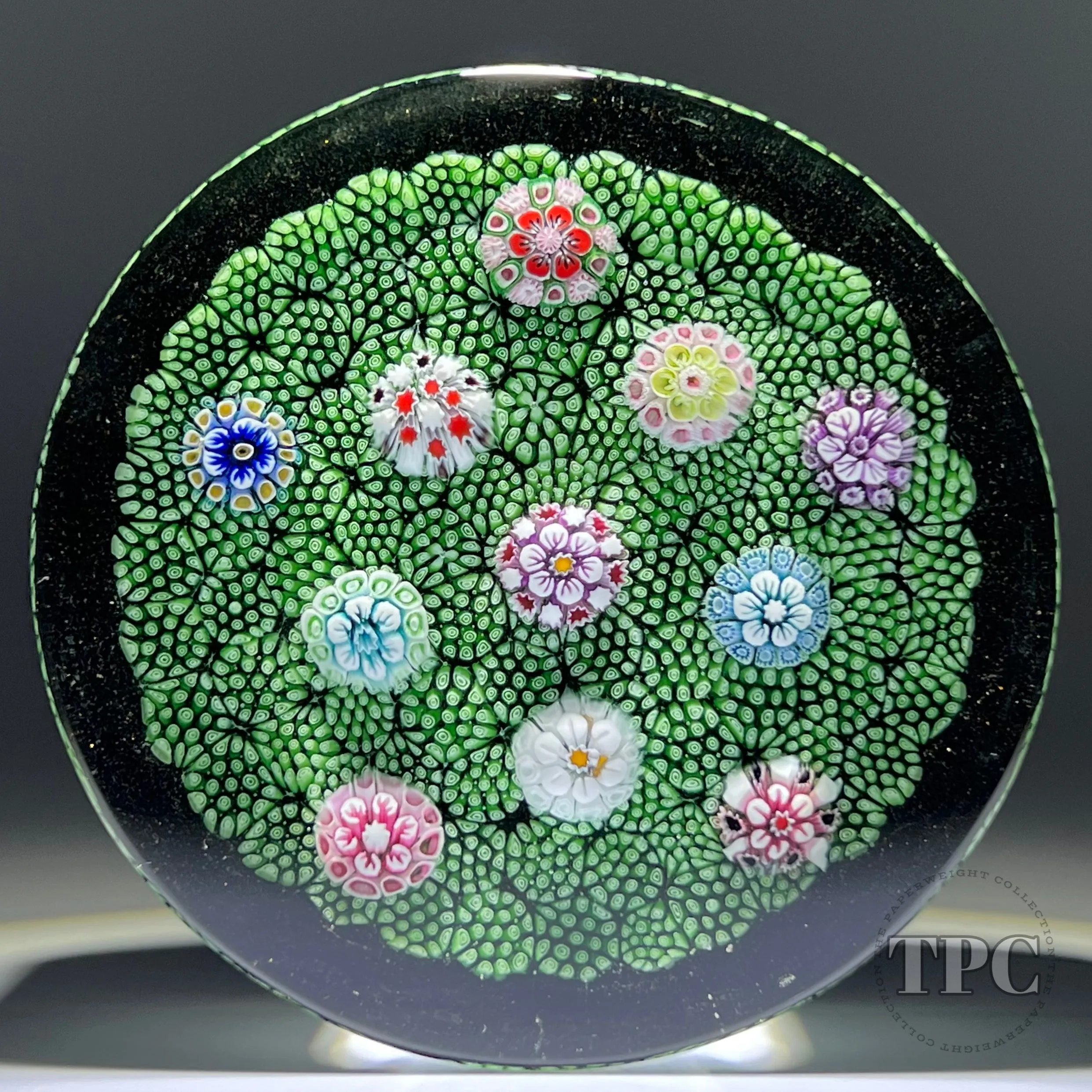 Tomasz Gondek 2022 Glass Art Paperweight Plaque Scattered Complex Millefiori on Green Coral Ground