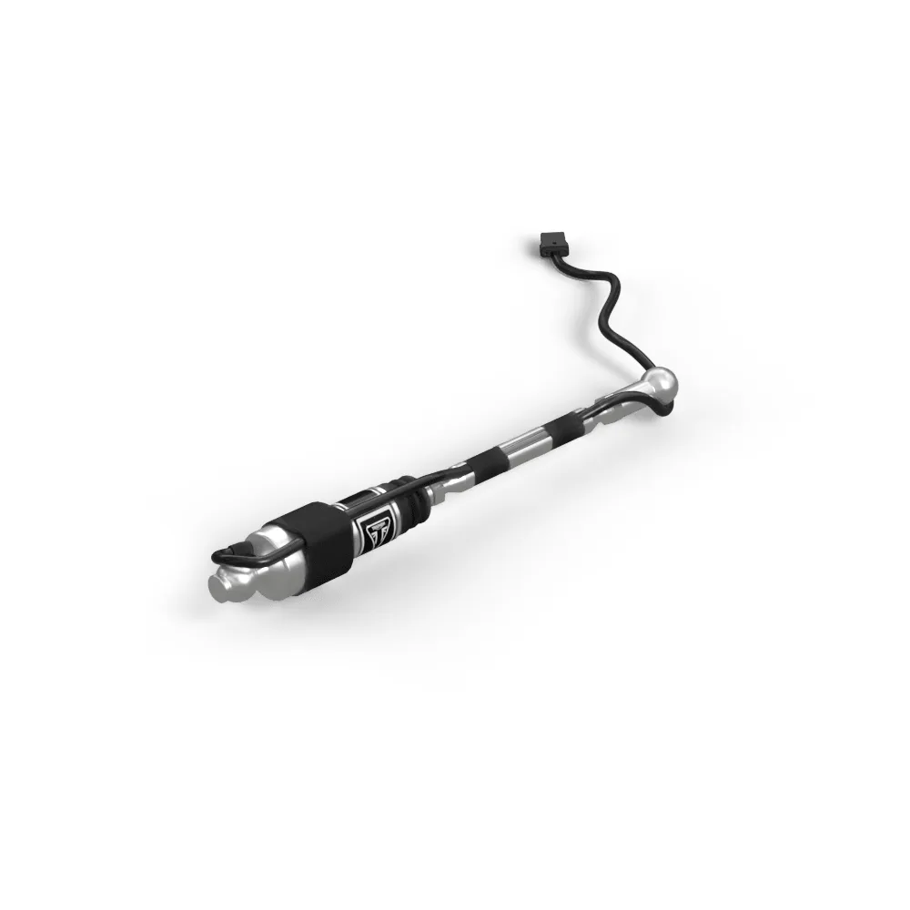 Triumph Tiger 1200 GT Shift Assist