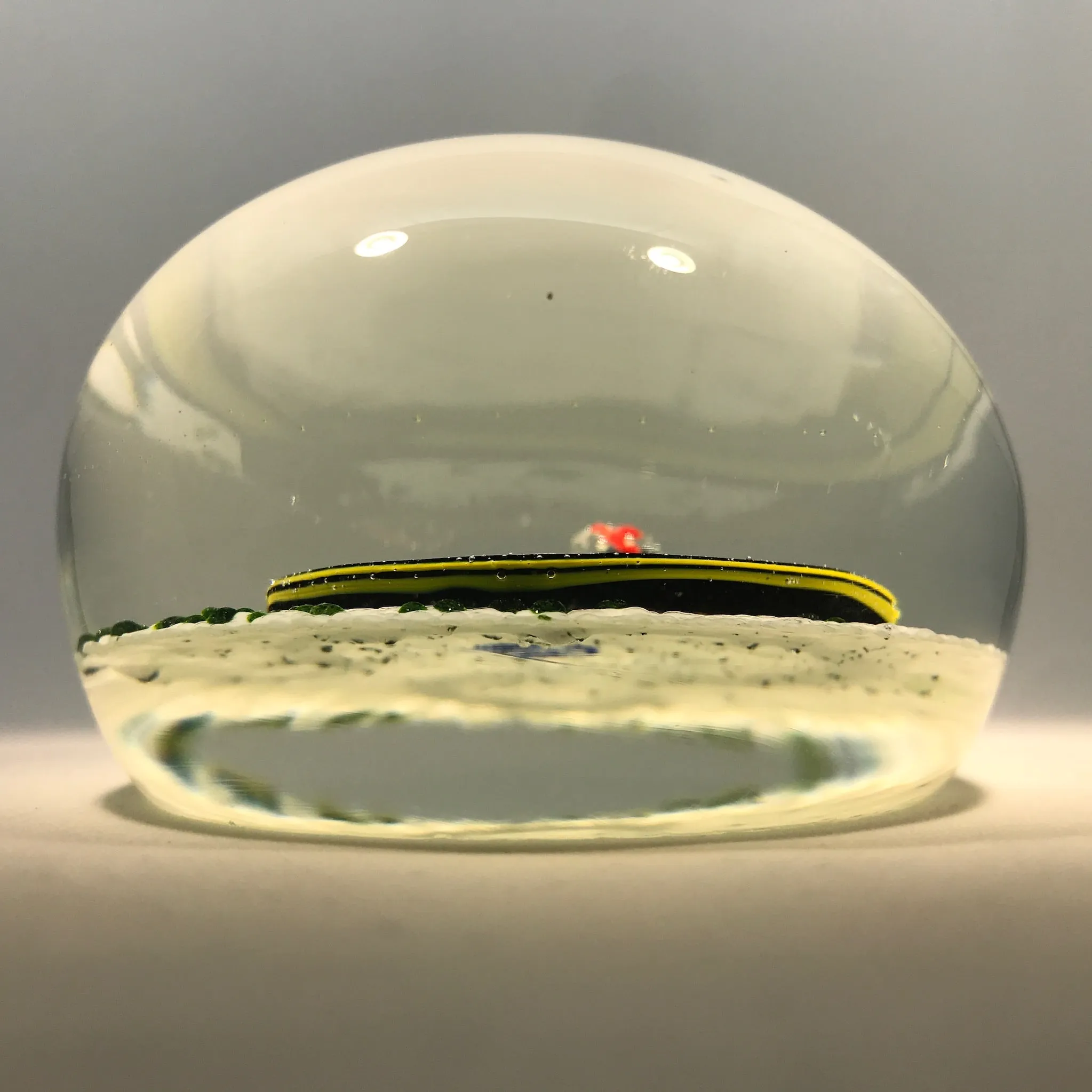 Vintage John Gentile Henry Johnson Art Glass Paperweight Snake & Ladybug
