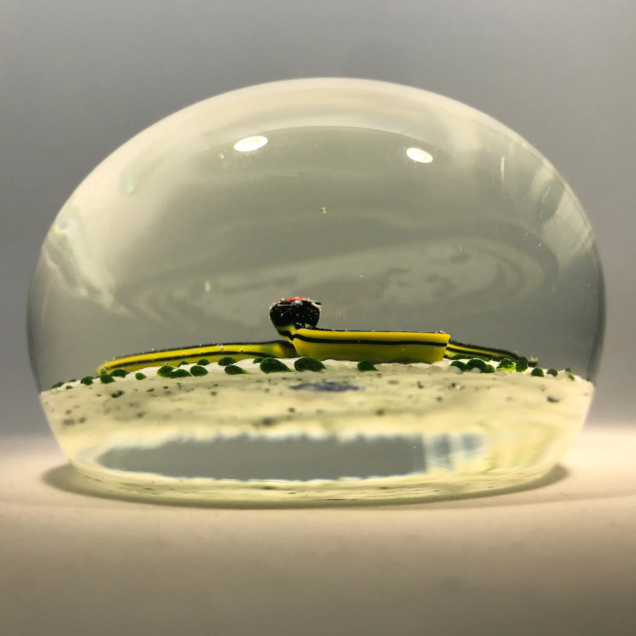 Vintage John Gentile Henry Johnson Art Glass Paperweight Snake & Ladybug