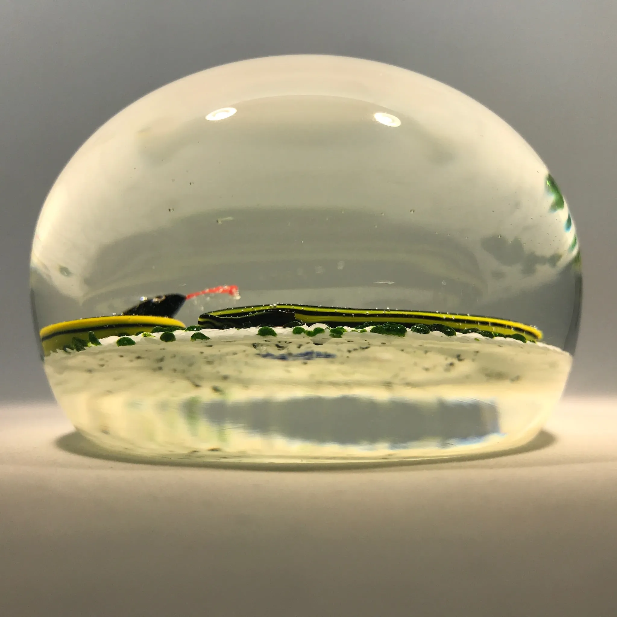 Vintage John Gentile Henry Johnson Art Glass Paperweight Snake & Ladybug