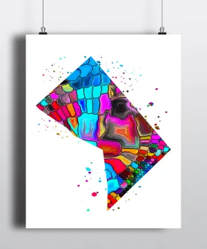 Washington DC Map Art Print - Unframed