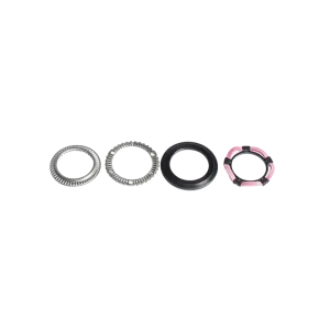 Zipp Hub Cognition V2 Axial Clutch Kit Disc Brake / Rim Brake (in
